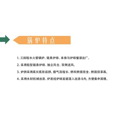 中型常压热水锅炉 自动清灰链条炉排生物质颗粒 生物质导热油锅炉
