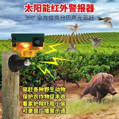 太阳能报警器360°感应报警灯农场果园养殖场驱鸟驱兽器狗叫枪响
