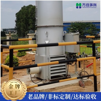高效燃烧点火枪200立方污水厂内燃式火炬维修废气处理设备装置