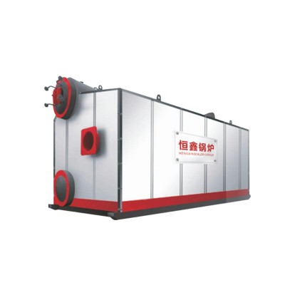 双锅筒锅炉10吨15吨20吨燃生物质蒸汽锅炉快装燃煤链条蒸汽锅炉
