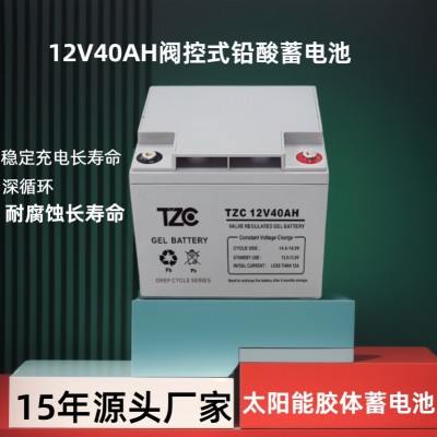 铅酸蓄电池12V40AH直流屏消防UPS电力设备专用胶体电池大容量