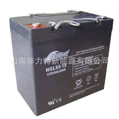 FULLRIVER丰江蓄电池HGL38-12 12V38AH直流屏 UPS/EPS电源配套