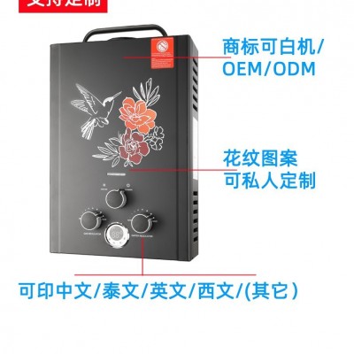 工厂出口美国新款房车改装热水器户外液化气电池款煤气热水器提手
