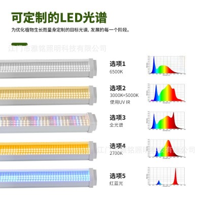 植物补光灯T20室内全光谱植物生长灯T8蔬菜花卉绿植多肉植物灯