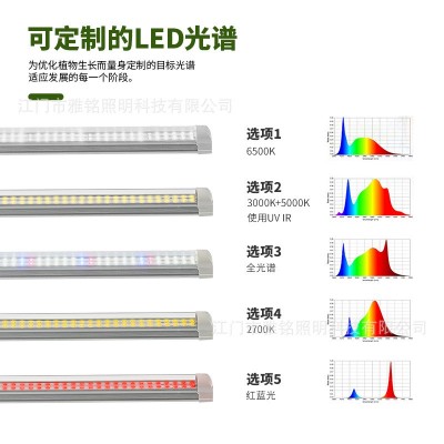 LEDT8一体植物生长灯全光谱花卉多肉育苗补光灯蔬菜室内培育补光