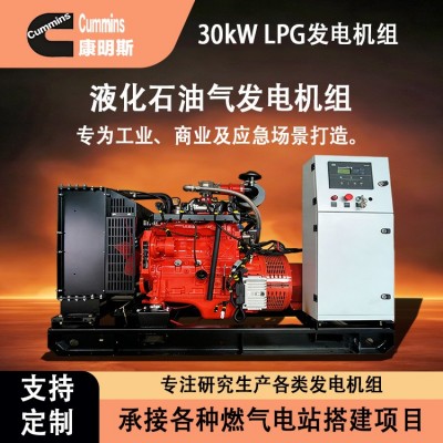 30kW康明斯LPG液化石油气发电机组天然气沼气燃气发电机小型家用