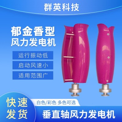 100W1000W郁金香风力发电机风光互补发电内销外贸源头发货