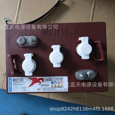 邱健蓄电池T-105 PLUS/美国Trojan电瓶6V225H洗地机升降机观光车